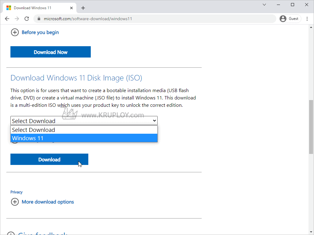 ไปที่ Download Windows 11 Disk Image (ISO)